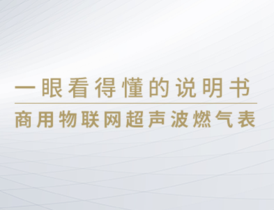 一眼看得懂系列 | 商用物聯(lián)網(wǎng)超聲波燃氣表產(chǎn)品說明書